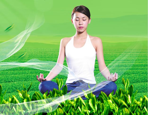 做个台湾护照模板